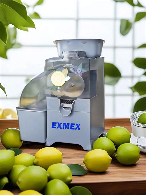 EXMEX .
